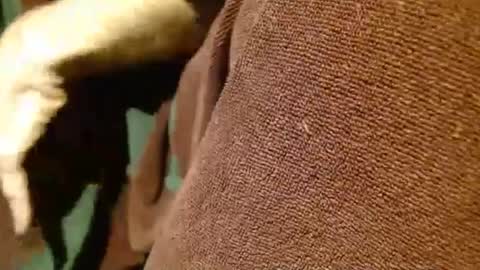 dunany101 online show from 03-05-25, 12:49