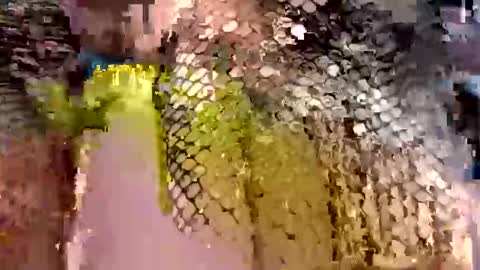 dwadek081704 online show from 09-19-25, 11:33