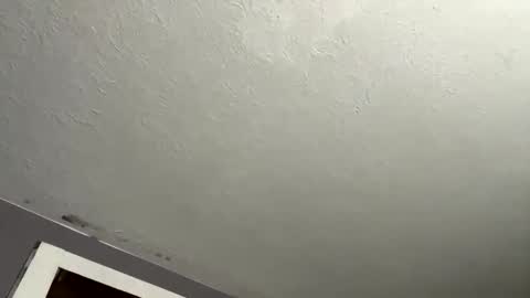 nastyboi801 online show from 11-27-25, 08:05