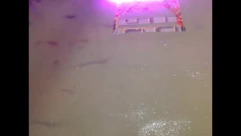 Snapshot of eatuupx chatting on 12-19-25, 03:41 eatuupx online show from 12-19-25, 03:41