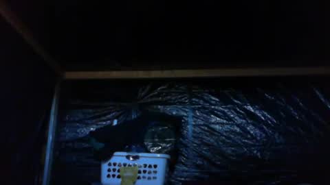 Snapshot of ebear1 chatting on 02-27-25, 09:36 ebear1 online show from 02-27-25, 09:36