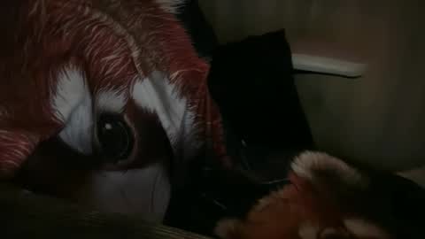 americnbarbie online show from 11-13-25, 01:04