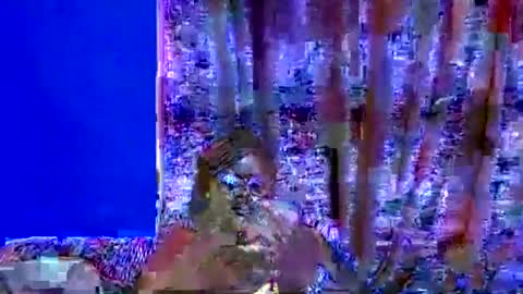 ebonybloom01 online show from 09-20-25, 05:03