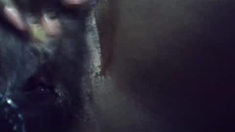 Snapshot of ebonykiki chatting on 01-23-25, 11:36 ebonykiki online show from 01-23-25, 11:36