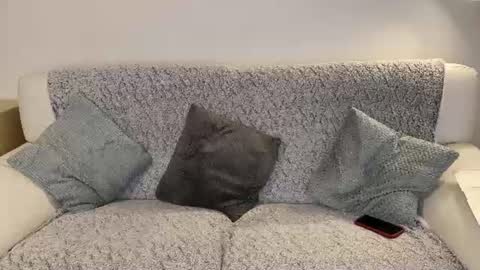 SweetyEbony online show from 06-27-26, 08:36