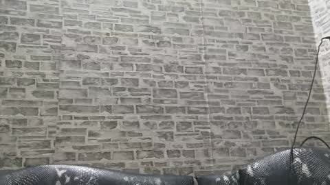 edithmanning online show from 01-15-25, 03:33