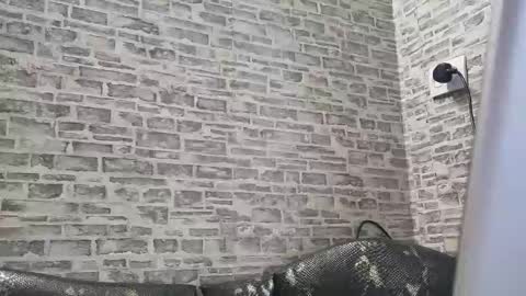 edithmanning online show from 02-18-25, 01:55