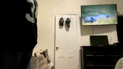 Snapshot of edvmendez1766 chatting on 10-27-25, 05:33 edvmendez1766 online show from 10-27-25, 05:33