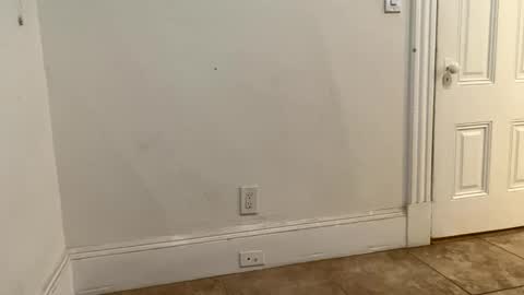 Snapshot of edvmendez1766 chatting on 11-18-25, 03:23 edvmendez1766 online show from 11-18-25, 03:23