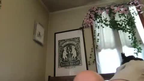 eggnog_and_booty online show from 05-12-26, 07:44