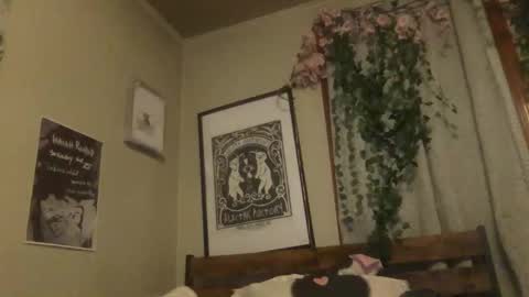 eggnog_and_booty online show from 05-18-26, 04:07