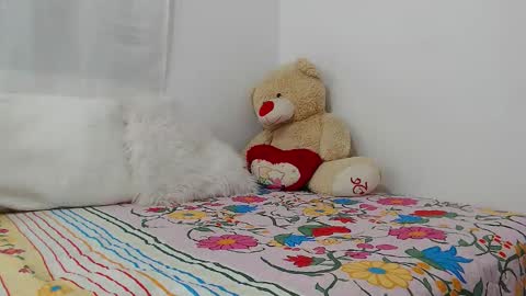 Snapshot of eileenmost chatting on 12-19-24, 11:46 eileenmost online show from 12-19-24, 11:46