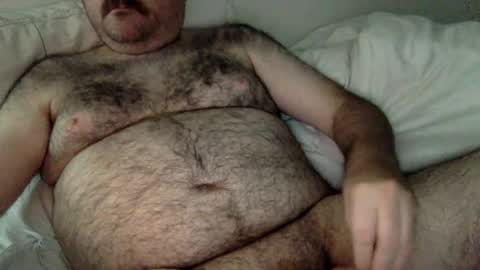 Snapshot of elago chatting on 06-22-26, 05:26 elabear online show from 06-22-26, 05:26