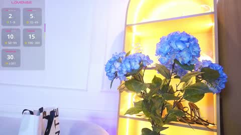 Elasummeer online show from 11-28-25, 11:57