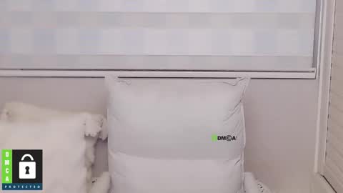 eleanore online show from 12-15-25, 08:51