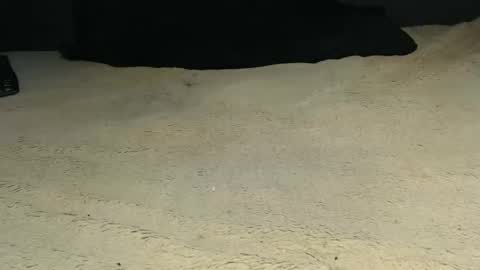 elgsslt online show from 04-09-26, 09:26