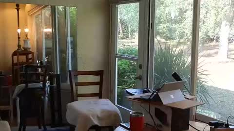 Snapshot of eliberator chatting on 12-21-25, 04:58 eliberator online show from 12-21-25, 04:58