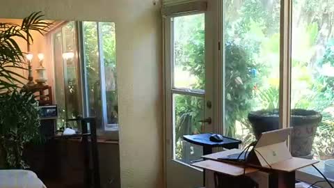 eliberator online show from 06-13-26, 03:32
