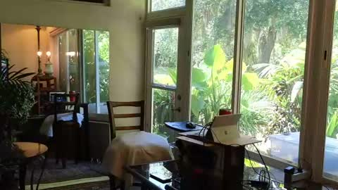 eliberator online show from 06-28-26, 06:36