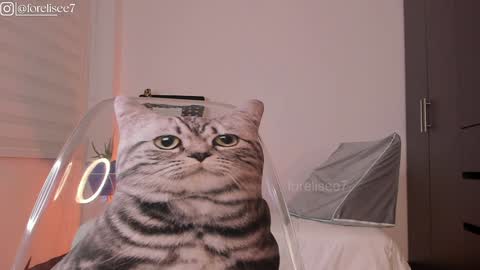 Eli online show from 12-07-24, 07:16