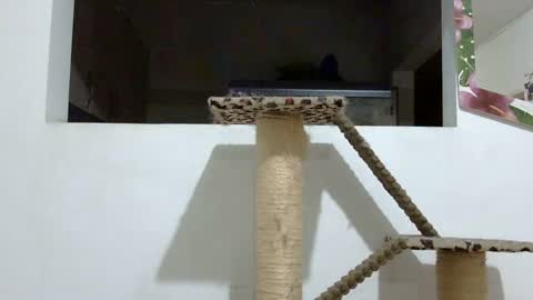 Elizabeth Martinez  online show from 01-18-25, 02:03