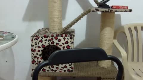 Elizabeth Martinez  online show from 09-16-25, 02:51