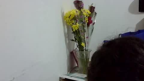 Snapshot of elizabeth_martinez_ chatting on 03-12-26, 07:09 Elizabeth Martinez online show from 03-12-26, 07:09