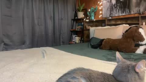 Ella online show from 07-06-26, 03:03