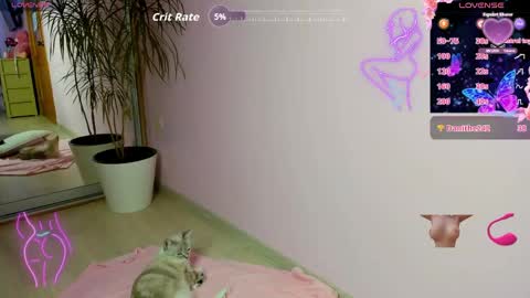 rosi online show from 04-22-26, 02:03