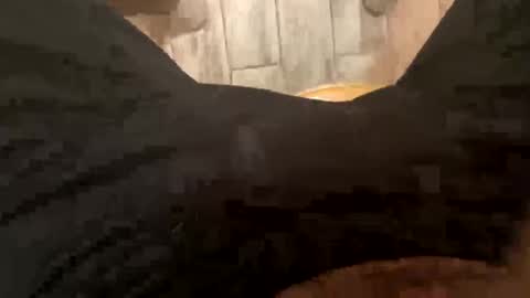 Snapshot of elparador chatting on 12-08-24, 07:58 El Parador online show from 12-08-24, 07:58