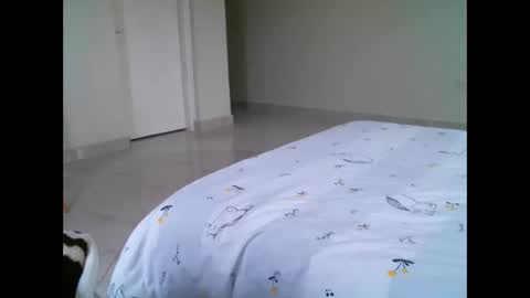 Elphaba online show from 02-21-26, 10:05