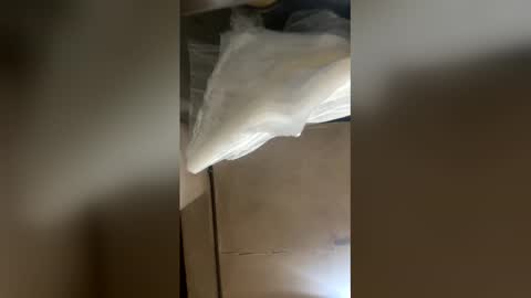 elpresi253 online show from 04-21-26, 06:55