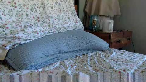 elviscash online show from 04-09-26, 01:16