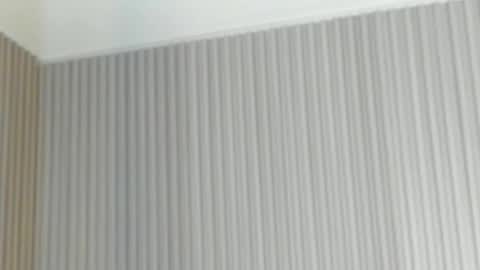 emelie_89 online show from 04-21-26, 11:49