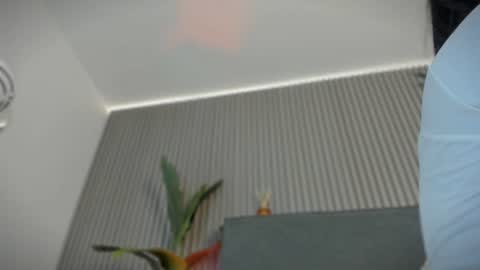 emelie_89 online show from 07-15-26, 11:48
