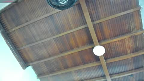 Emily  online show from 09-26-25, 11:03