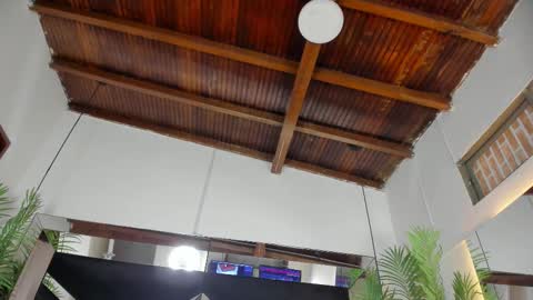 Emily  online show from 10-24-25, 10:55