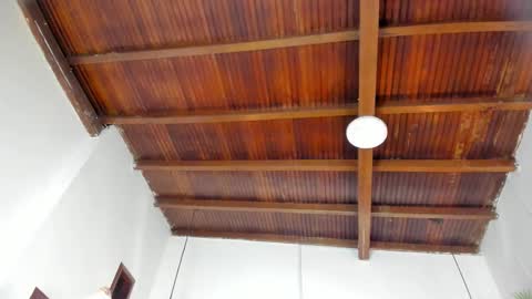 Emily  online show from 02-21-26, 11:00