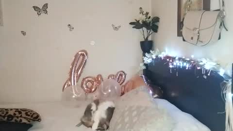 Snapshot of emilywhitee_ chatting on 11-25-25, 02:33 Valentina independent model online show from 11-25-25, 02:33