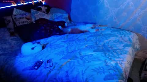 emma online show from 05-16-26, 03:47