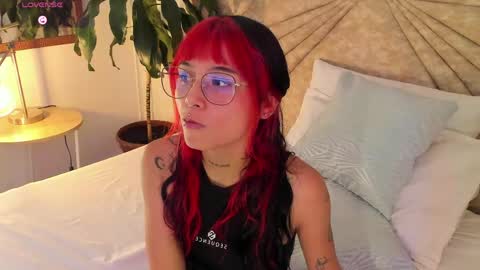           online show from 04-29-26, 07:42