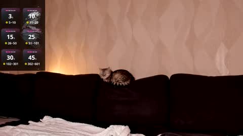 Shaiya online show from 03-02-25, 08:29