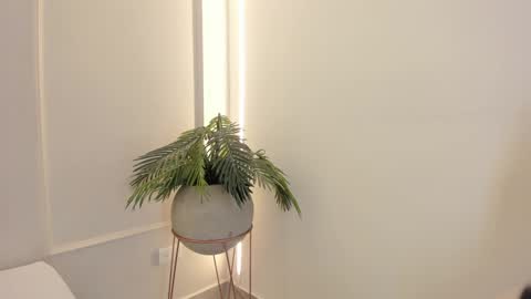 Snapshot of emmiily_z chatting on 01-19-25, 02:04 Emmiily online show from 01-19-25, 02:04