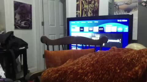 empusalamia online show from 01-25-25, 09:57