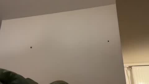 enemasplit online show from 01-12-26, 06:29