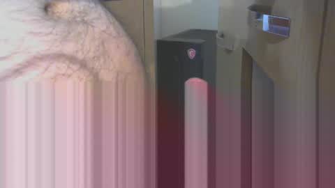 Snapshot of engin_83 chatting on 04-17-26, 11:30 engin_83 online show from 04-17-26, 11:30