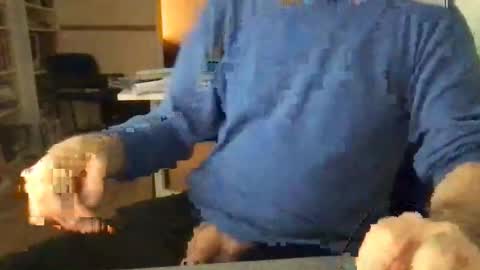 englefield online show from 12-15-24, 07:46