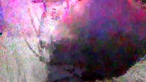 Snapshot of enjooythenut chatting on 01-18-25, 02:33 Batman online show from 01-18-25, 02:33