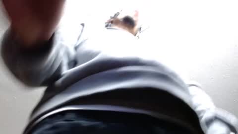 Snapshot of erick_martinezz chatting on 02-22-25, 03:01 erick online show from 02-22-25, 03:01