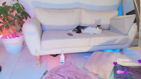 TINY  online show from 06-29-26, 10:15